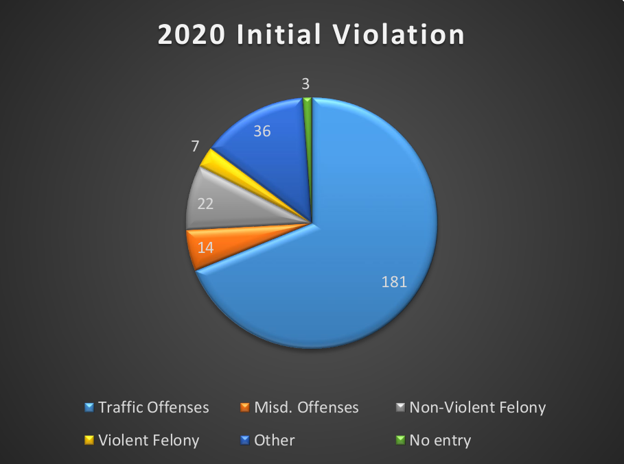 Pie graph illustrating 2020 initial violations
