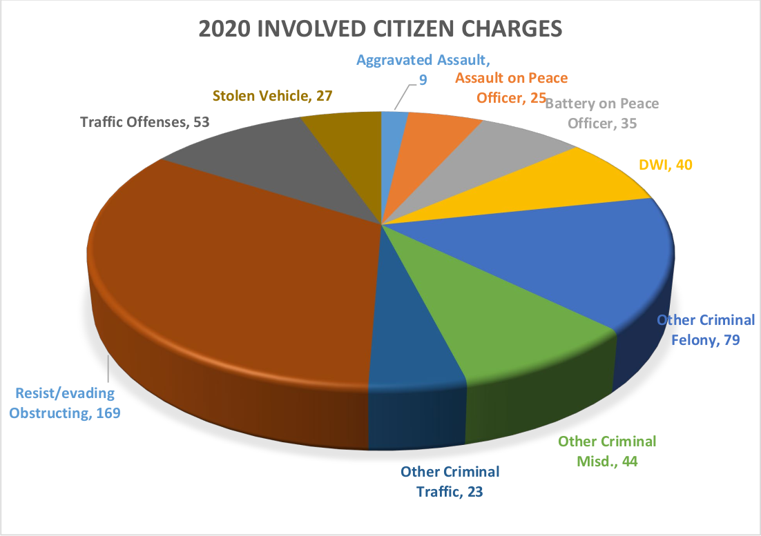 Pie graph illustrating 2020 involved citizen charges